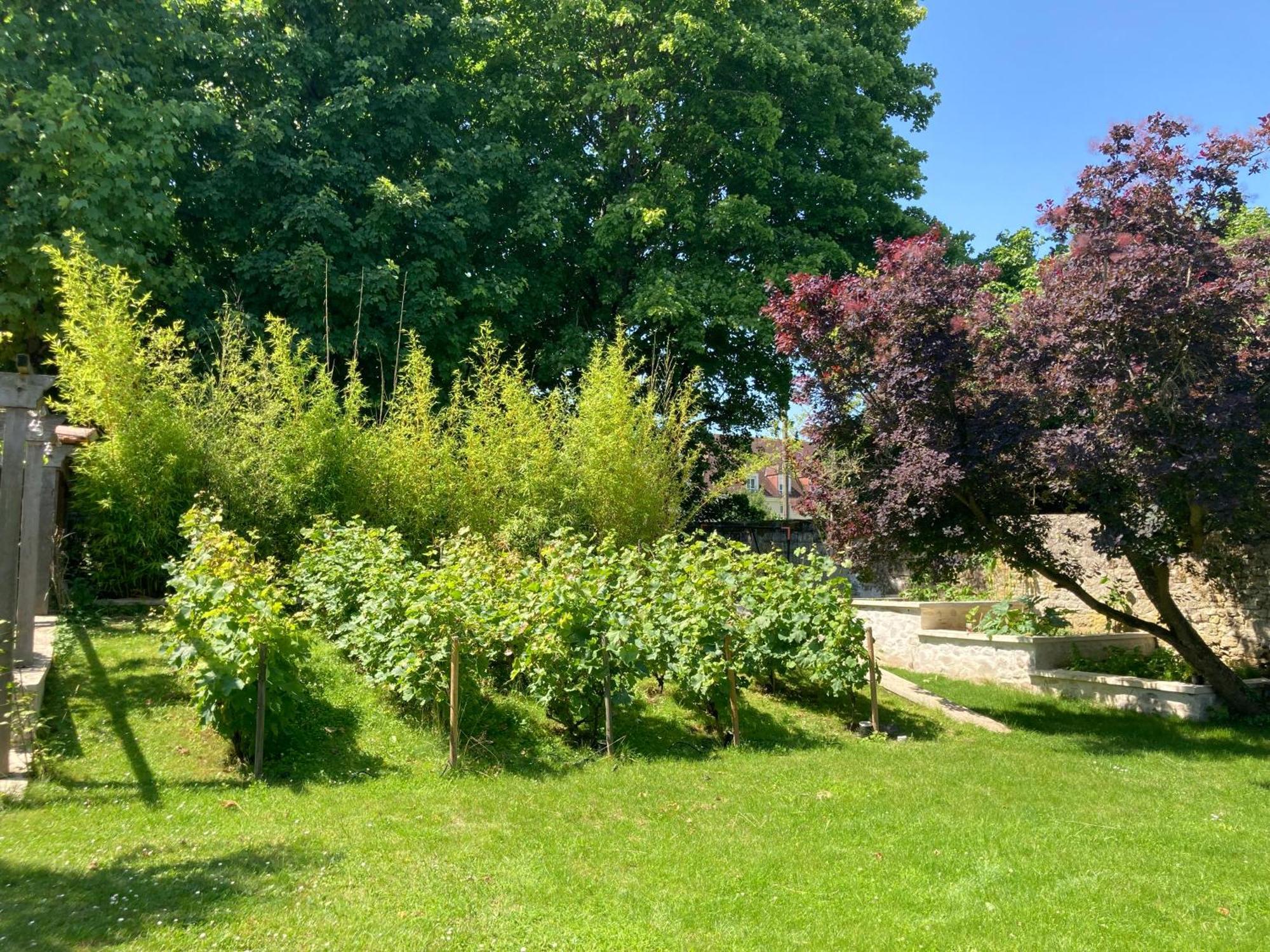 Pierres Et Jardins Bed & Breakfast Senlis  Exterior foto