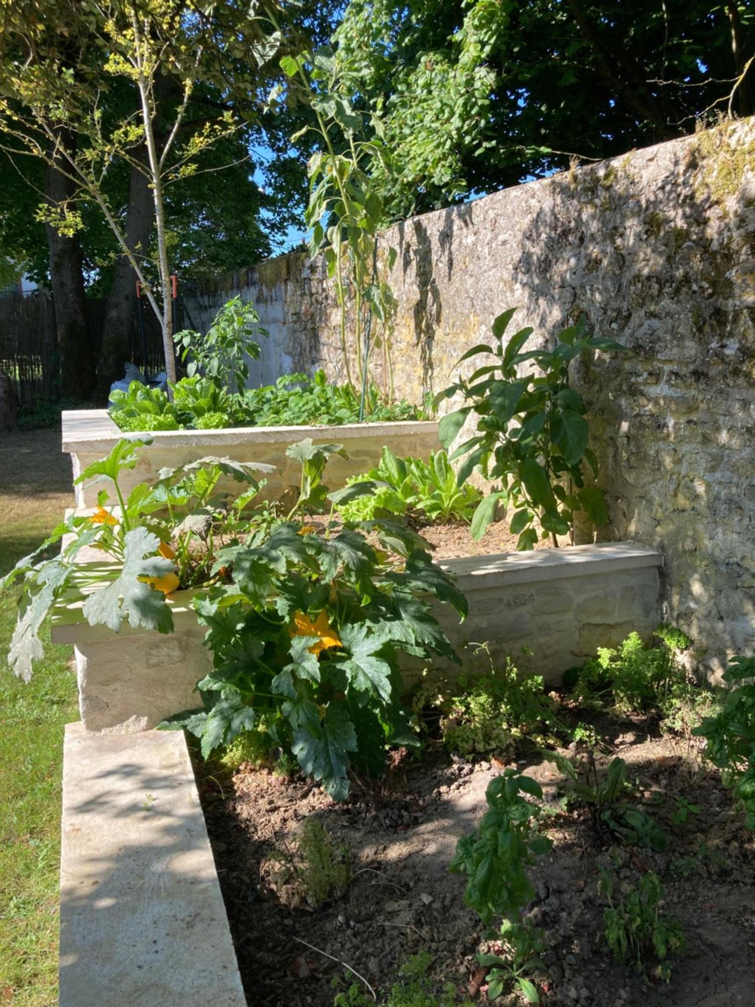 Pierres Et Jardins Bed & Breakfast Senlis  Exterior foto