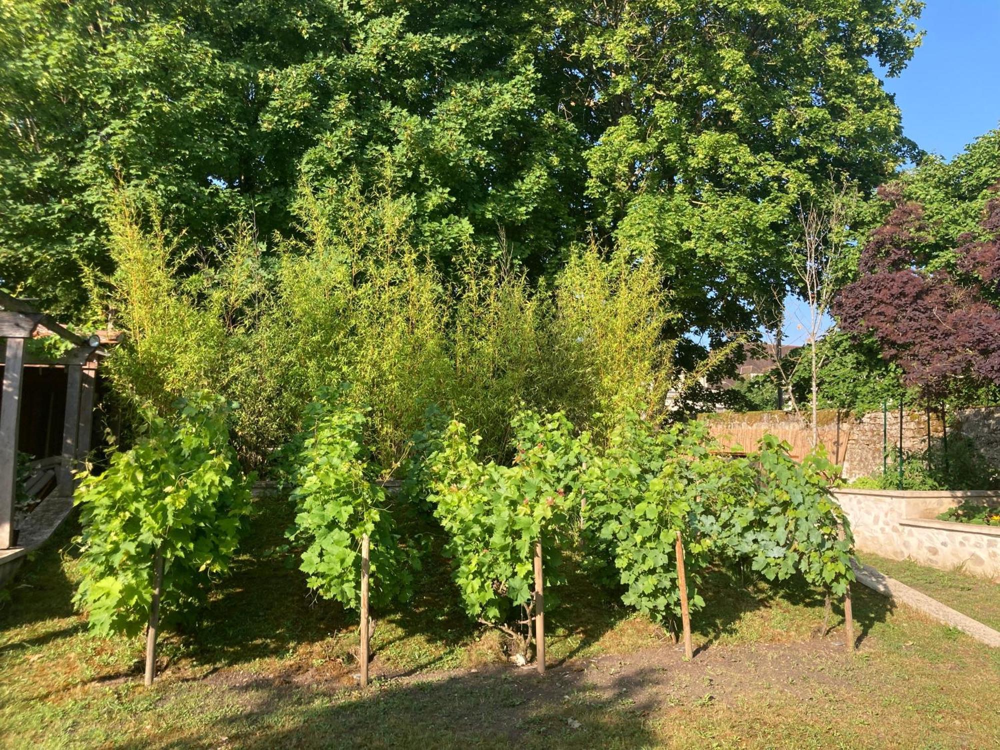 Pierres Et Jardins Bed & Breakfast Senlis  Exterior foto